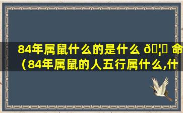 84年属鼠什么的是什么 🦊 命（84年属鼠的人五行属什么,什么命）